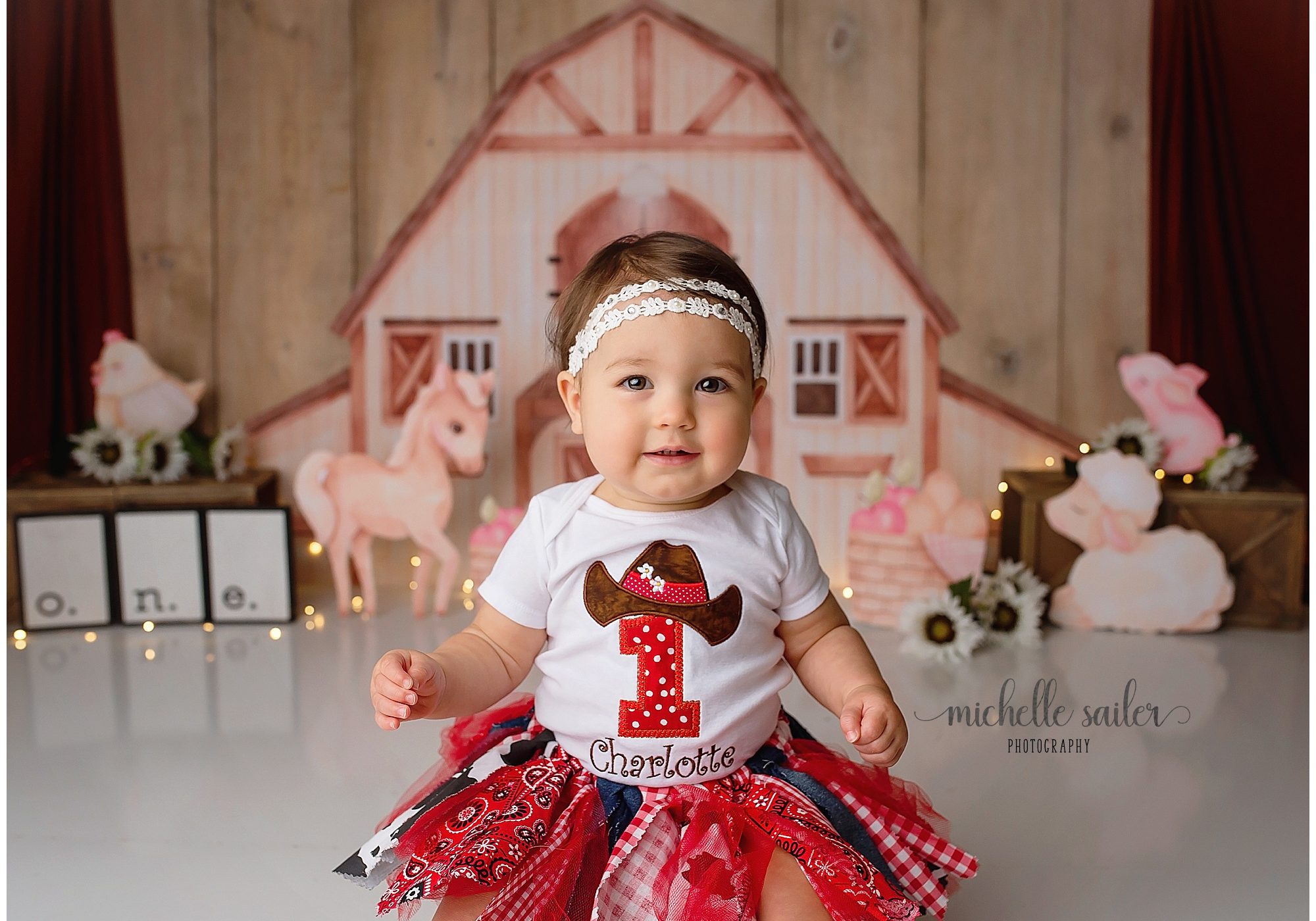 The Woodlands Texas Cake Smash Photographer.